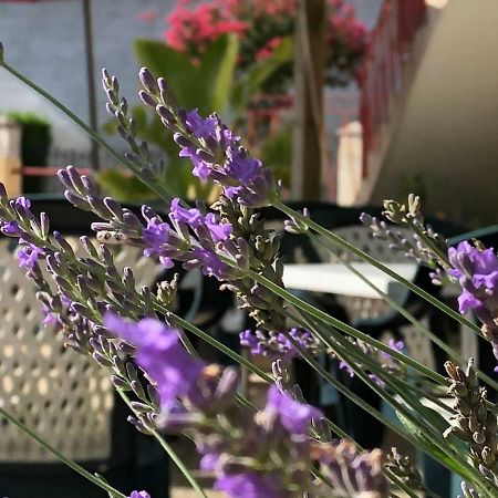 L' Auberge Campagnarde, Lourdes Poueyferré Dış mekan fotoğraf