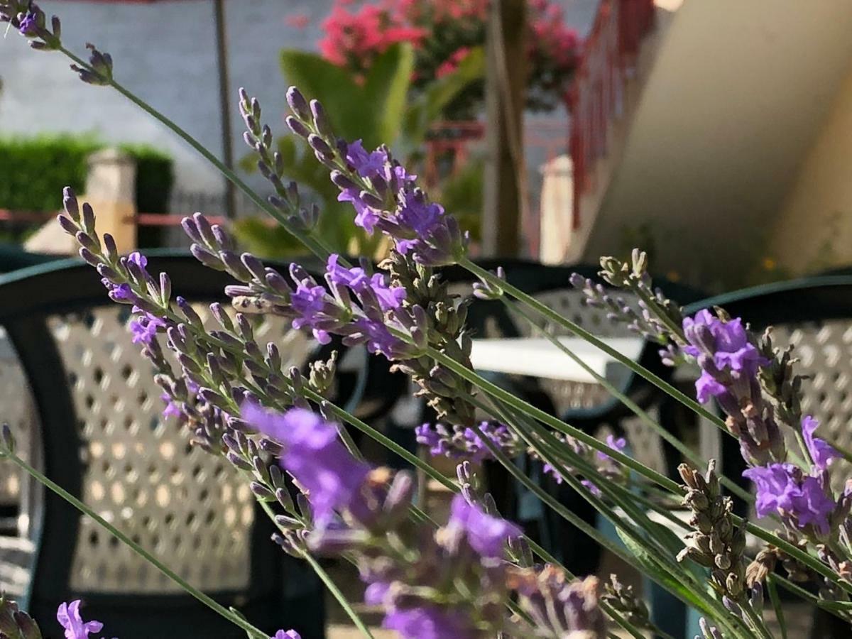 L' Auberge Campagnarde, Lourdes Poueyferré Dış mekan fotoğraf